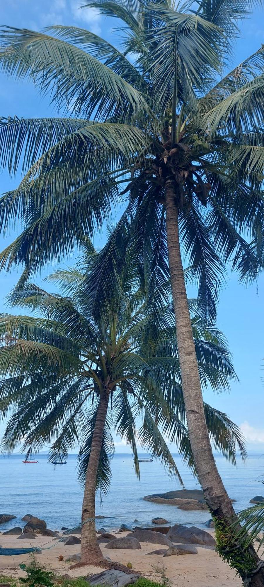 Home Away Tioman Island Kampung Genting Bagian luar foto